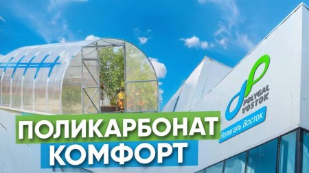 Сотовый