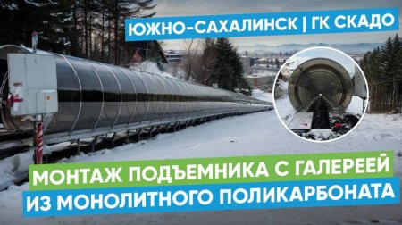 Сотовый