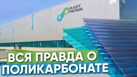 Сотовый
